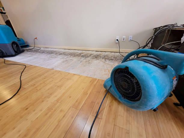 Professional Water Removal technician working in Piedmont, OH